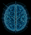 Neuro Scan