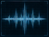 VOICE PRINT